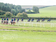 HC240925-25 - Harry Charlton Stable Visit